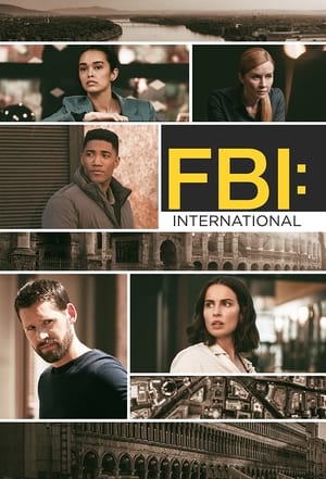 FBI: International poszter