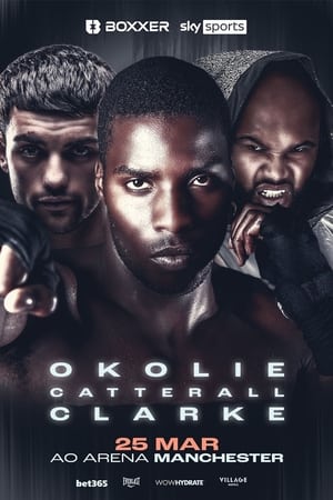 Lawrence Okolie vs. David Light poszter