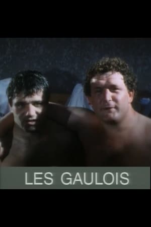 Les Gaulois poszter