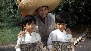 Adam-12 1. évad Ep.8 8. epizód