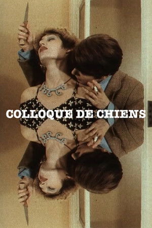 Colloque de chiens