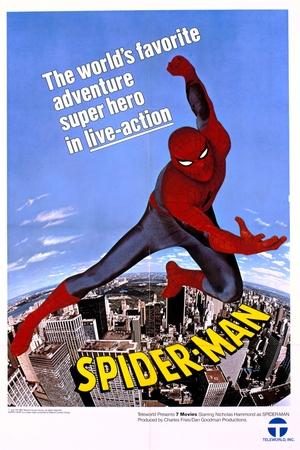 The Amazing Spider-Man poszter