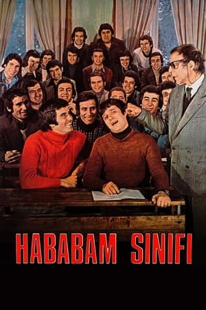 Hababam Sınıfı poszter