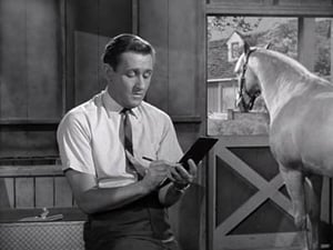 Mister Ed 4. évad Ep.2 2. epizód