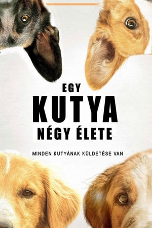 Egy ​kutya négy élete