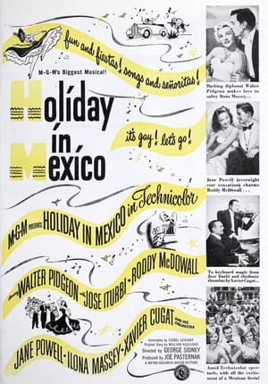 Holiday in Mexico poszter