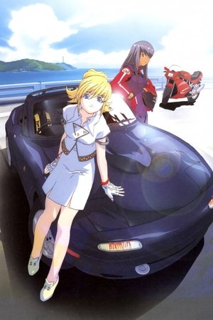 エクスドライバー Nina & Rei Danger Zone poszter