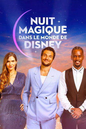 Nuit magique dans le monde de Disney poszter