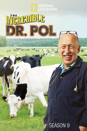 Dr. Pol állatklinikája