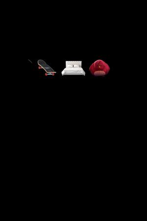 Boards, Beds & Birds poszter