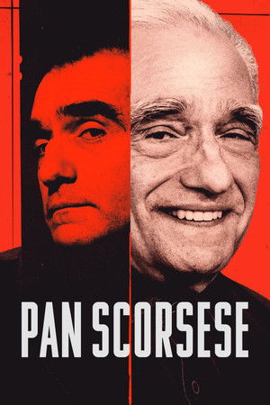 Mr. Scorsese poszter