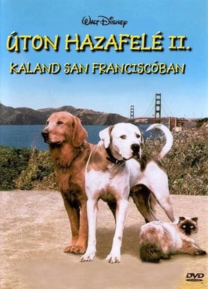 Úton hazafelé 2 - Kaland San Franciscóban