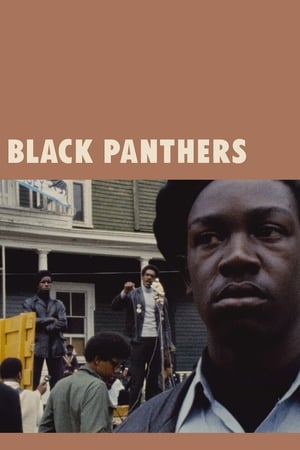 Black Panthers poszter