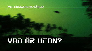 Vetenskapens värld 51. évad Ep.8 8. epizód