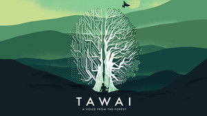 Tawai: A Voice from the Forest háttérkép