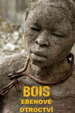 Bois d'ébène poszter