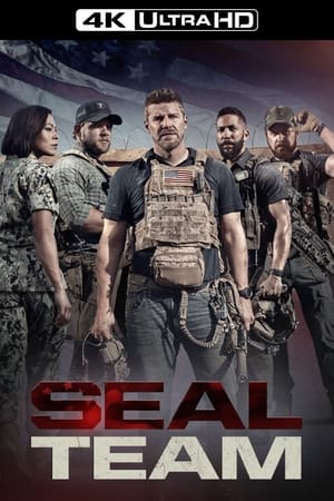 SEAL Team poszter