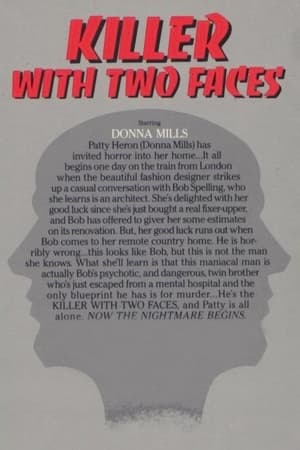 A Killer With Two Faces poszter