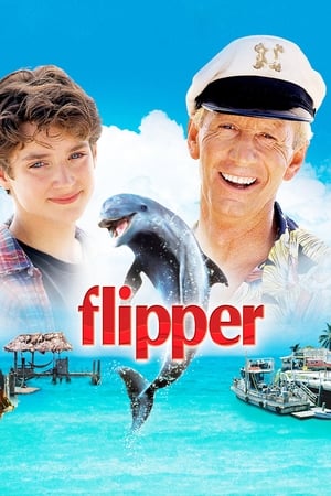 Flipper poszter