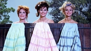 Petticoat Junction kép