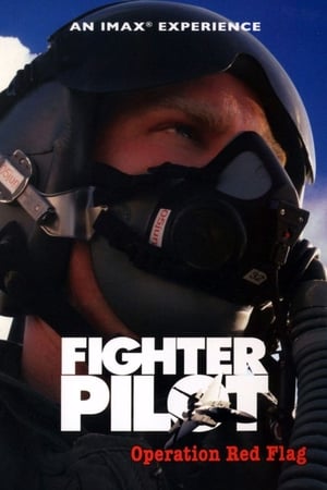 Fighter Pilot: Operation Red Flag poszter