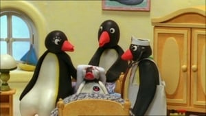 Pingu 6. évad Ep.6 6. epizód