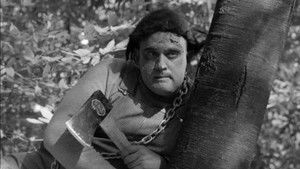 The Monster of Camp Sunshine or How I Learned to Stop Worrying and Love Nature háttérkép