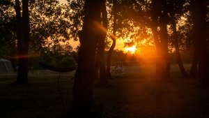 Le Temps d'un Camp : Le Rouge háttérkép