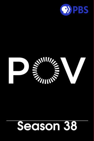 Point of View