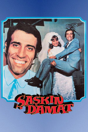 Şaşkın Damat poszter