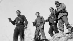 To My Son in Spain: Finnish Canadians in the Spanish Civil War háttérkép