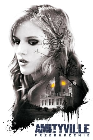 Amityville: Az ébredés poszter