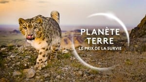 Planète Terre, le prix de la survie háttérkép