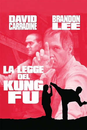 Kung-fu - A film poszter