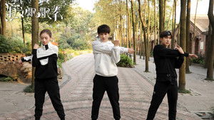 淑女飘飘拳 kép