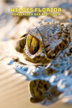 Reptile Kingdom poszter
