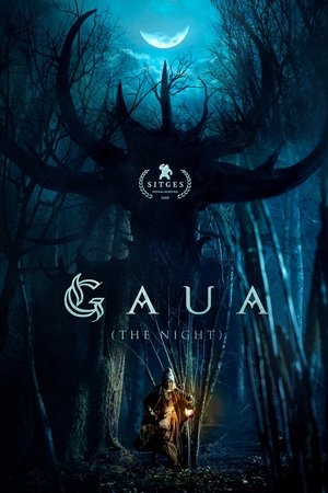Gaua poszter
