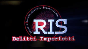 R.I.S. - Delitti Imperfetti kép