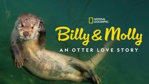 Billy és Molly: Egy vidraszerelem története háttérkép