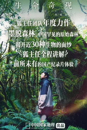 生命奇观 poszter