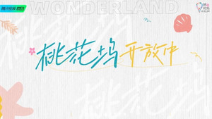 桃花坞开放中 kép