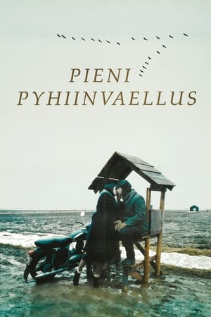 Pieni pyhiinvaellus