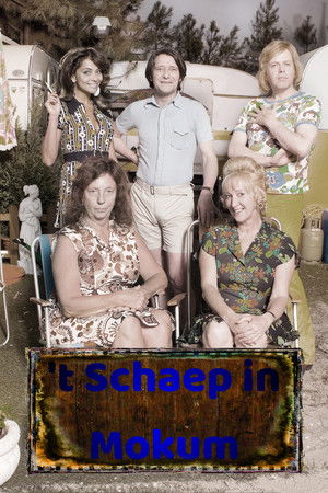 't Schaep in Mokum
