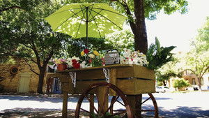The Man Who Loved Flowers háttérkép
