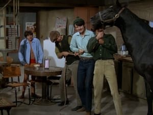 The Monkees Season 1 Ep.8 8. epizód