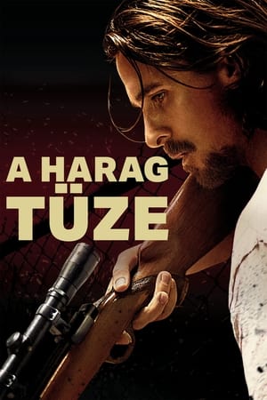 A harag tüze