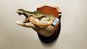 Haver, ez Florida! kép