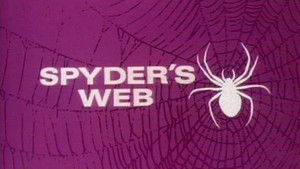 Spyder's Web kép