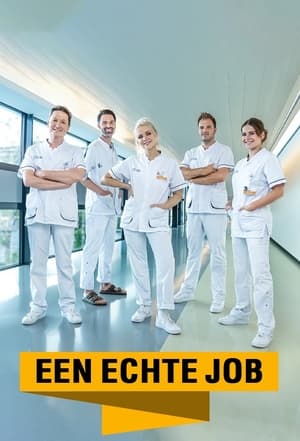 Een Echte Job poszter