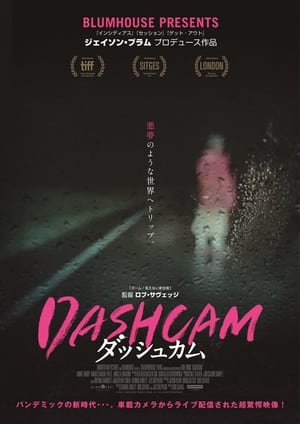 Dashcam poszter